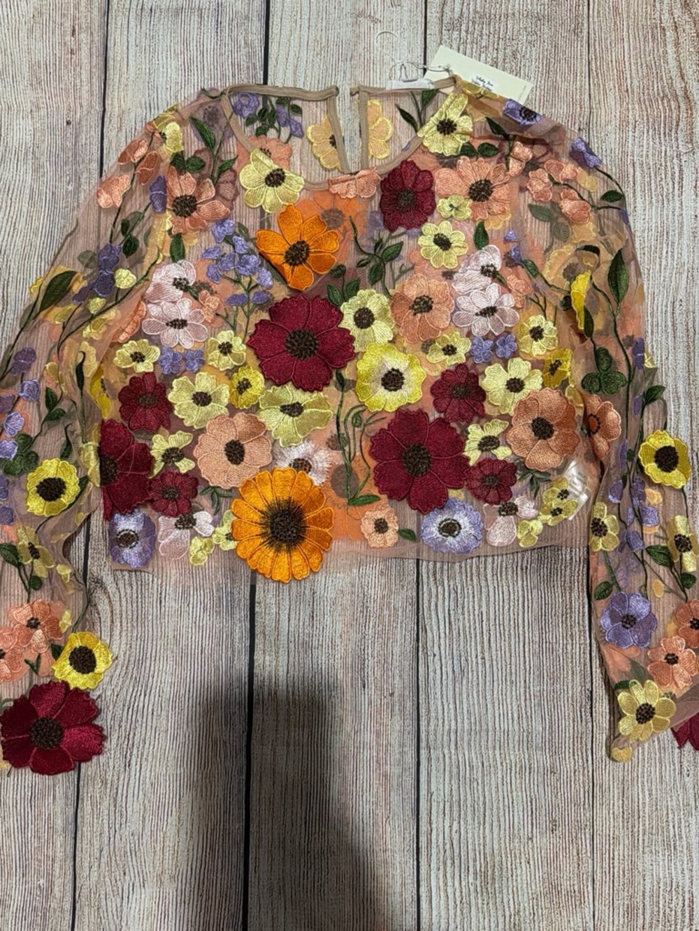 Floral Embroidered Sheer Crop Blouse - Multicolor